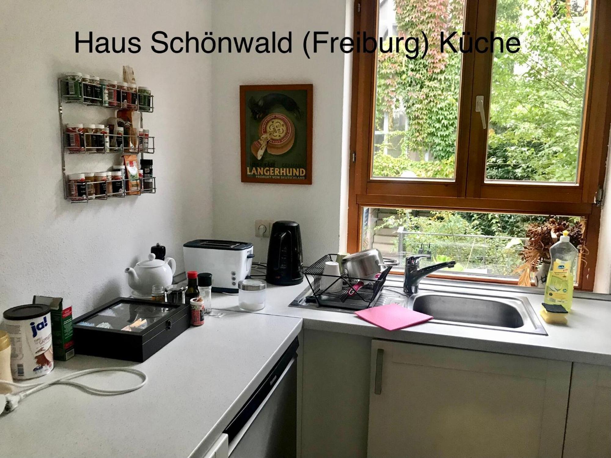 Haus Schoenwald Friburgo de Brisgovia Exterior foto