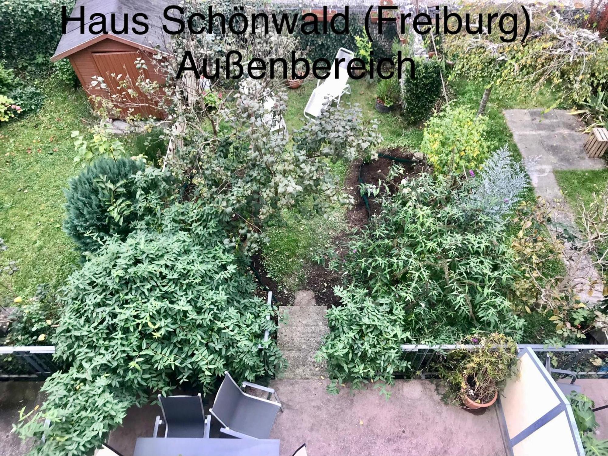 Haus Schoenwald Friburgo de Brisgovia Exterior foto